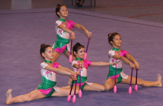 Gymnastique Championnats de Zone Sud-est : belle perf’ des Grenoblois (16/04/2011)