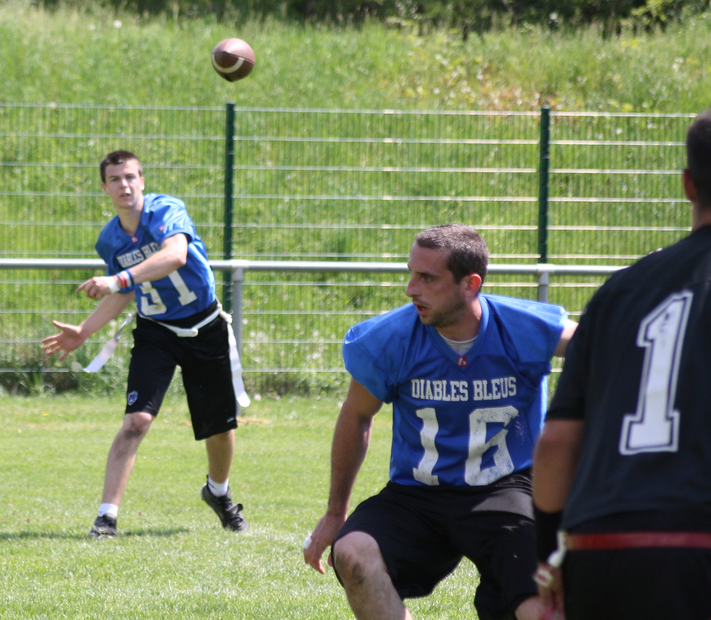 Flag : Deux Diables en Bleus