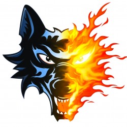 Ligue Magnus : Chamonix – Brûleurs de Loups 3-5