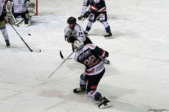 Ligue Magnus : les lauréats de la saison régulière