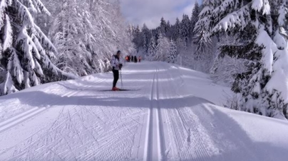 [Agenda] Stage handisport de ski nordique organisé par Vercors Handisport
