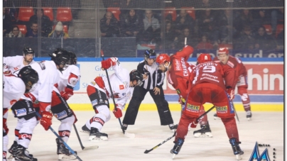 Reprise de la Ligue Magnus le 17 décembre pour les Brûleurs de Loups