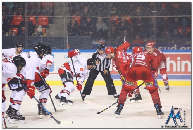 Reprise de la Ligue Magnus le 17 décembre pour les Brûleurs de Loups