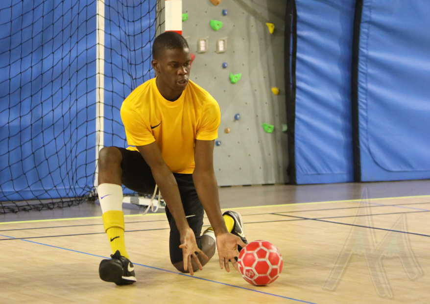 Quelles sont les Ligues les mieux classées pour les accessions au niveau National Futsal et Féminines