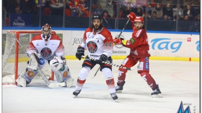 Ce sera les Scorpions de Mulhouse pour les Brûleurs de Loups si la Ligue Magnus se poursuit