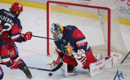 Jakub Stepanek prolonge avec les Brûleurs de Loups