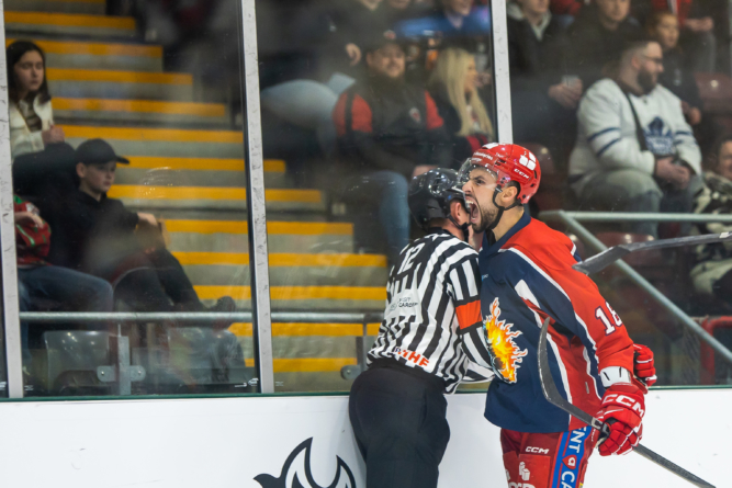 Continental Cup. Les Brûleurs de Loups remportent leur 1er match