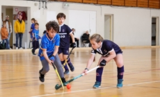 Une saison en salle incroyable pour le Hockey Club Grenoble