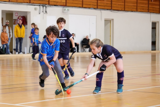 Une saison en salle incroyable pour le Hockey Club Grenoble