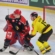 23 secondes d’absence et les Brûleurs de Loups s’inclinent face au SC Bern (2-0)