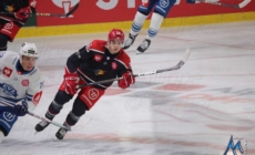 Cap sur la Ligue Magnus pour les Brûleurs de Loups