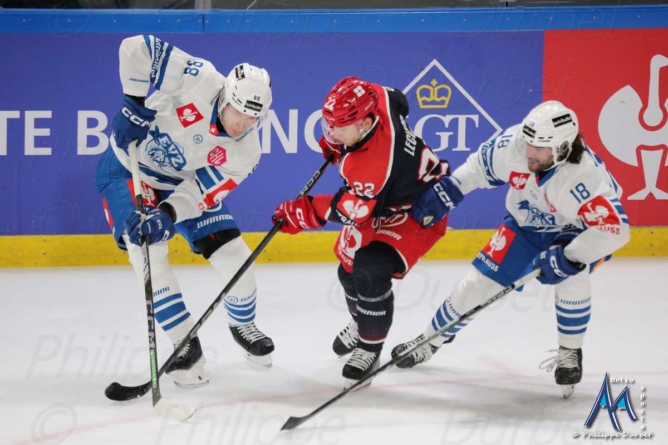 Brûleurs de Loups. Plusieurs retours pour affronter Lausanne en CHL