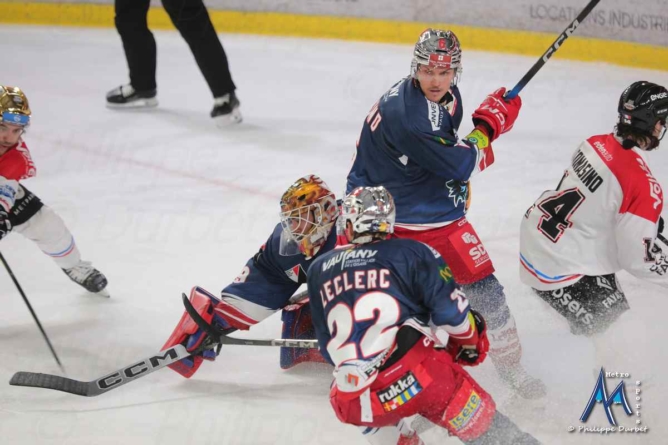 Ligue Magnus. Les Brûleurs de Loups s’inclinent à Angers