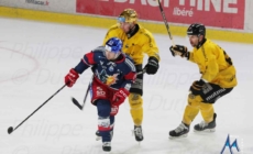 Le début de saison des Brûleurs de Loups passé à la loupe