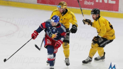 Le début de saison des Brûleurs de Loups passé à la loupe