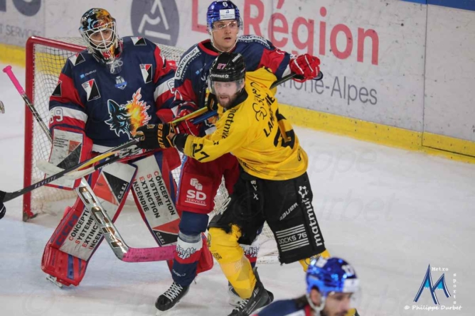 Les Brûleurs de Loups s’inclinent face à Rouen avant de retrouver la CHL
