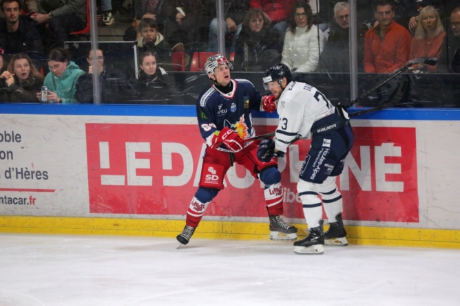 De la formation grenobloise à la Ligue Magnus : l’ascension de Niklas Terglav
