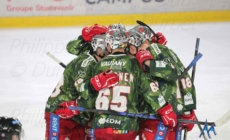 Les Brûleurs de Loups recevront Bordeaux en quarts de finale de la coupe de France