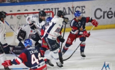 Brûleurs de Loups – Ducs d’Angers : tout se jouera sur un septième match