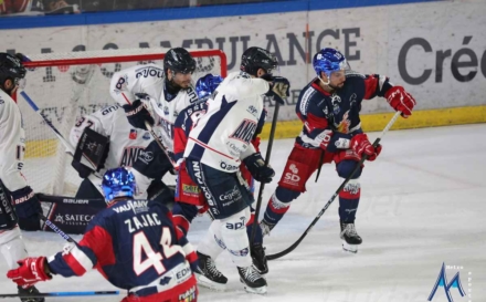 Brûleurs de Loups – Ducs d’Angers : tout se jouera sur un septième match
